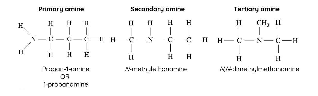 Amine Diagram